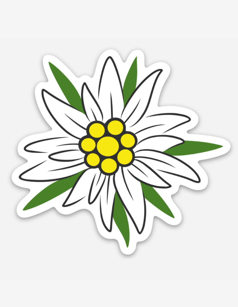 Edelweiss Flower Sticker Decorative Stickers Rare Dirndl 