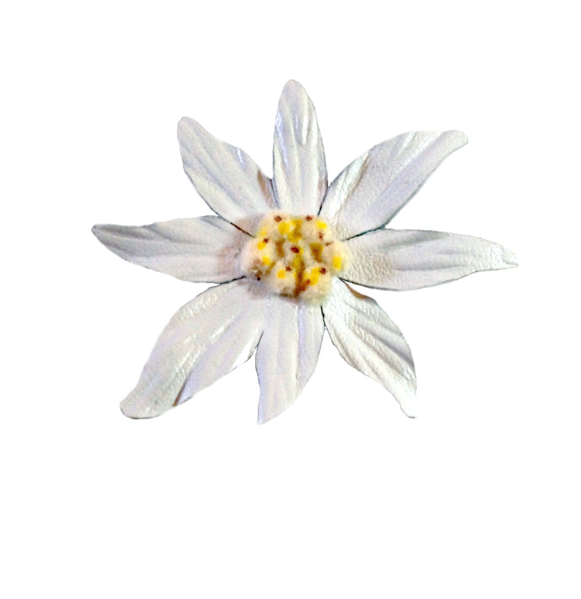 Leather Edelweiss Clip